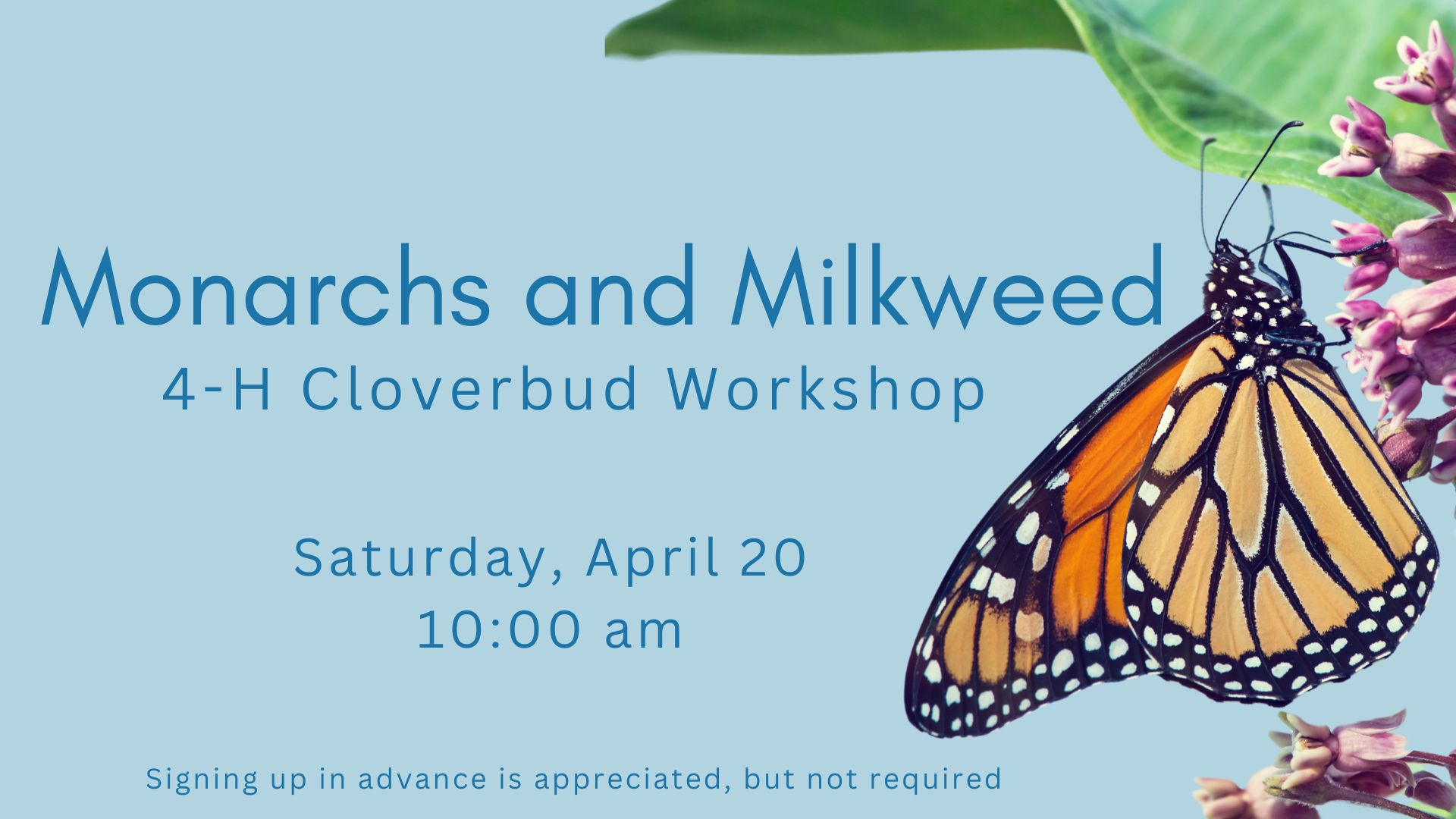 Monarchs and Milkweed 4-H Cloverbud Workshop